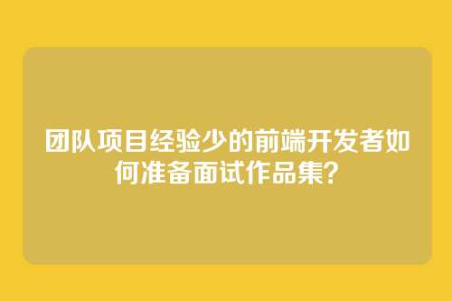 团队项目经验少的前端开发者如何准备面试作品集？
