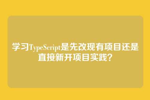 学习TypeScript是先改现有项目还是直接新开项目实践？
