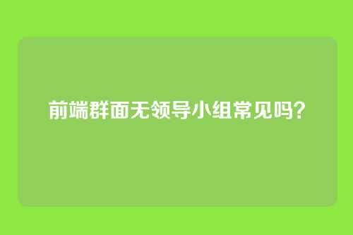 前端群面无领导小组常见吗？