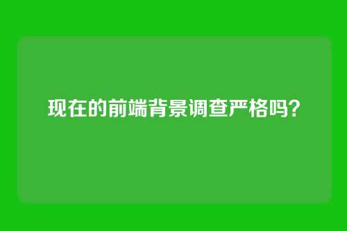 现在的前端背景调查严格吗？