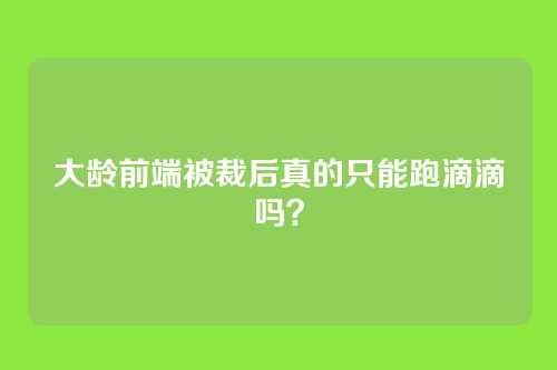 大龄前端被裁后真的只能跑滴滴吗？