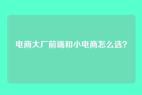 详细阅读:电商大厂前端和小电商怎么选? 电商大厂前端和小电商怎么选?