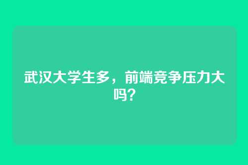 武汉大学生多，前端竞争压力大吗？