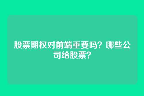 股票期权对前端重要吗？哪些公司给股票？