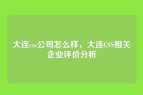 大连css公司怎么样，大连CSS相关企业评价分析