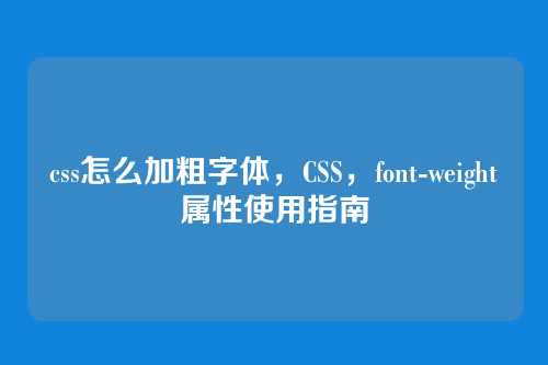 css怎么加粗字体，CSS，font-weight属性使用指南