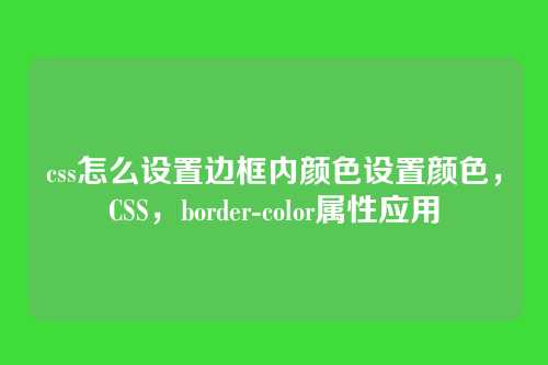 css怎么设置边框内颜色设置颜色，CSS，border-color属性应用