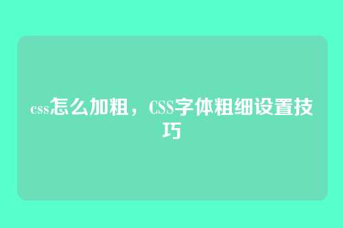 css怎么加粗，CSS字体粗细设置技巧