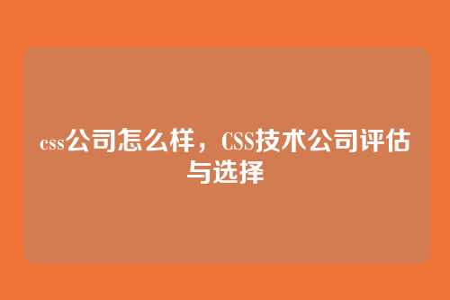 css公司怎么样，CSS技术公司评估与选择