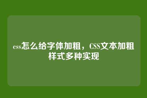 css怎么给字体加粗，CSS文本加粗样式多种实现