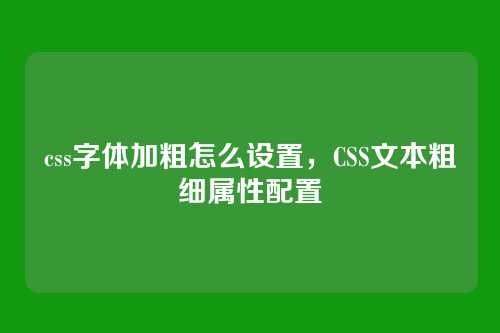 css字体加粗怎么设置，CSS文本粗细属性配置