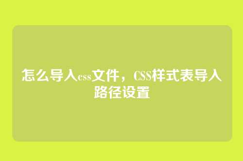 怎么导入css文件，CSS样式表导入路径设置