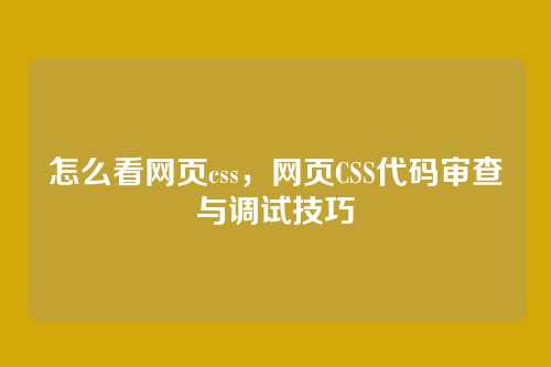 怎么看网页css，网页CSS代码审查与调试技巧