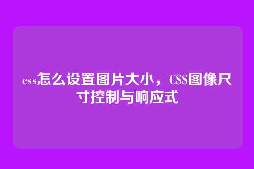 css怎么设置图片大小，CSS图像尺寸控制与响应式