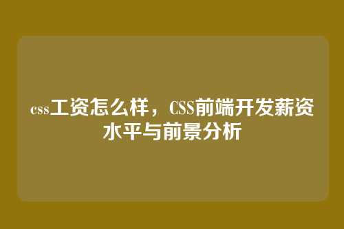 css工资怎么样，CSS前端开发薪资水平与前景分析