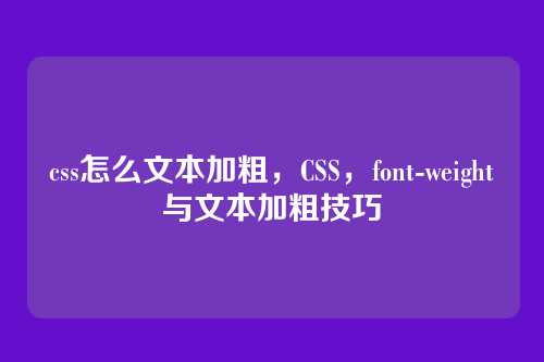 css怎么文本加粗，CSS，font-weight与文本加粗技巧