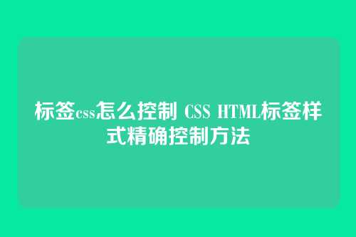 标签css怎么控制 CSS HTML标签样式精确控制方法