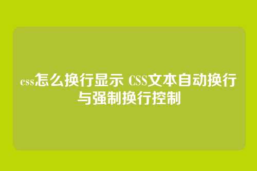 css怎么换行显示 CSS文本自动换行与强制换行控制