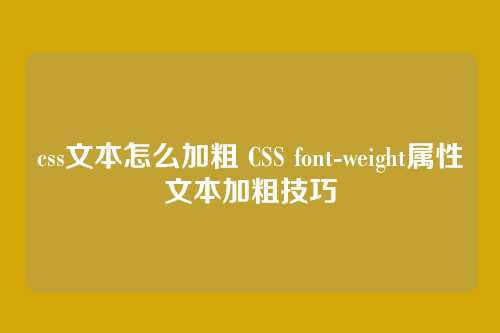 css文本怎么加粗 CSS font-weight属性文本加粗技巧