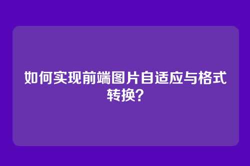 如何实现前端图片自适应与格式转换？