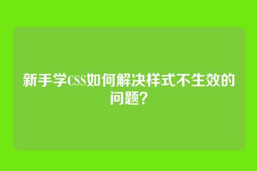 新手学CSS如何解决样式不生效的问题？