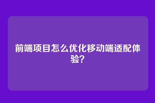 前端项目怎么优化移动端适配体验？